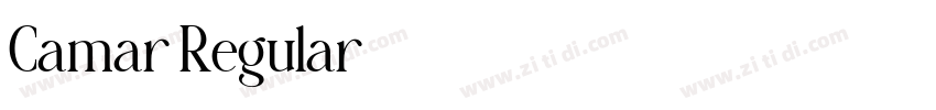 Camar Regular字体转换